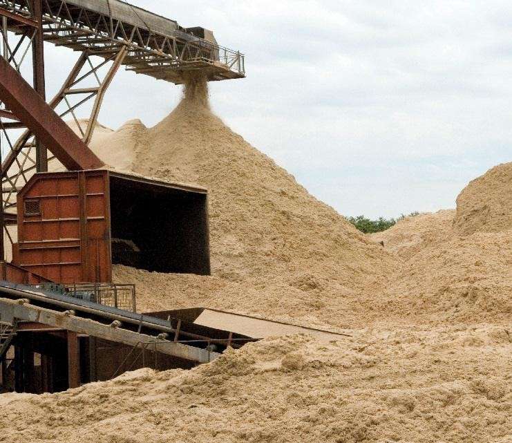 Bagasse