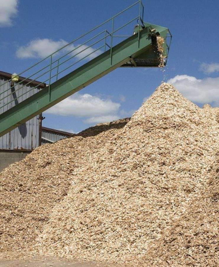 Wood chips moving along a conveyor