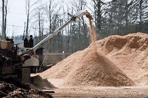 Sawdust