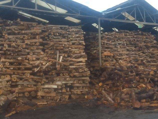 Wood Residues